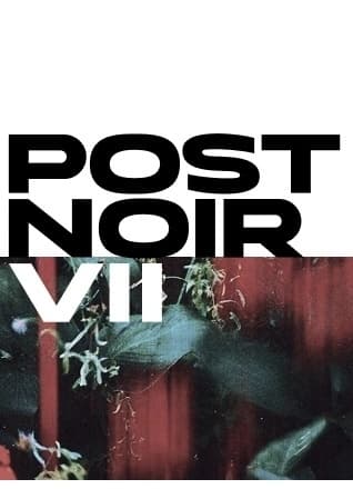 Post Noir VII 1